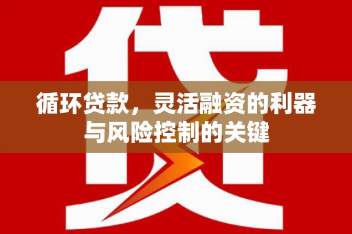 定结循环贷款，灵活融资的利器与风险控制的关键