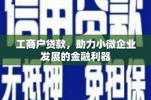 定结工商户贷款，助力小微企业发展的金融利器