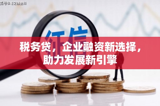 定结税务贷，企业融资新选择，助力发展新引擎