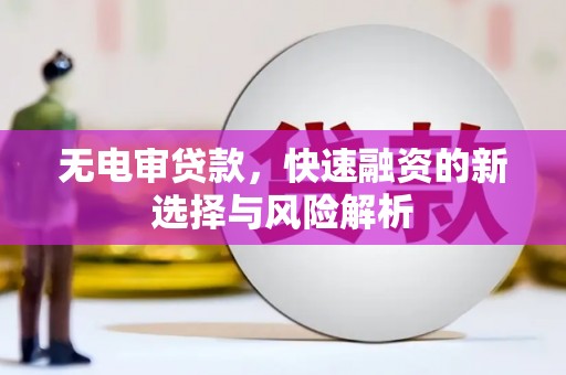 定结无电审贷款，快速融资的新选择与风险解析