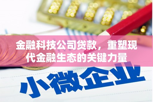 定结金融科技公司贷款，重塑现代金融生态的关键力量