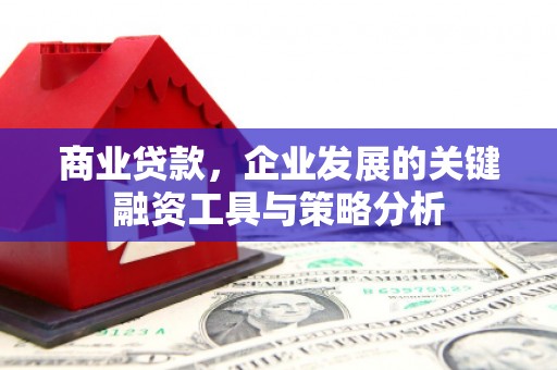 定结商业贷款，企业发展的关键融资工具与策略分析