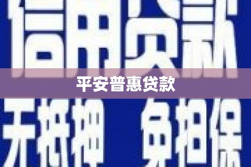 定结平安普惠贷款