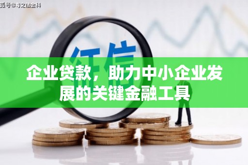定结企业贷款，助力中小企业发展的关键金融工具