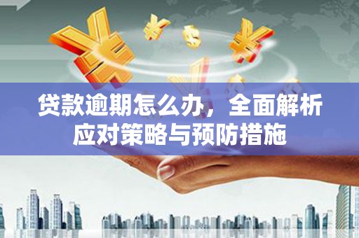 定结贷款逾期怎么办，全面解析应对策略与预防措施