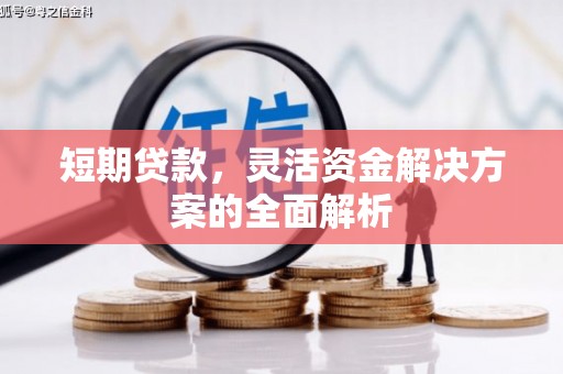定结短期贷款，灵活资金解决方案的全面解析