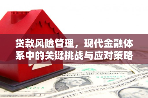 定结贷款风险管理，现代金融体系中的关键挑战与应对策略