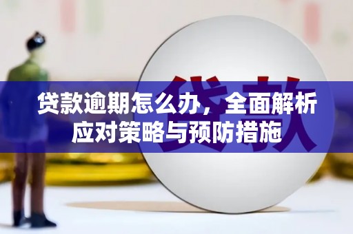 定结贷款逾期怎么办，全面解析应对策略与预防措施