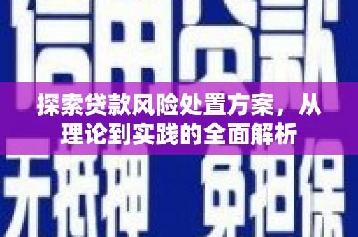 定结探索贷款风险处置方案，从理论到实践的全面解析