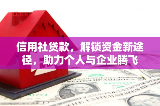 定结信用社贷款，解锁资金新途径，助力个人与企业腾飞