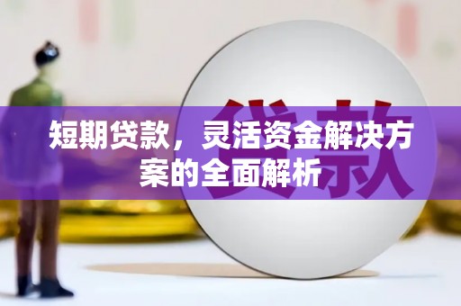 定结短期贷款，灵活资金解决方案的全面解析