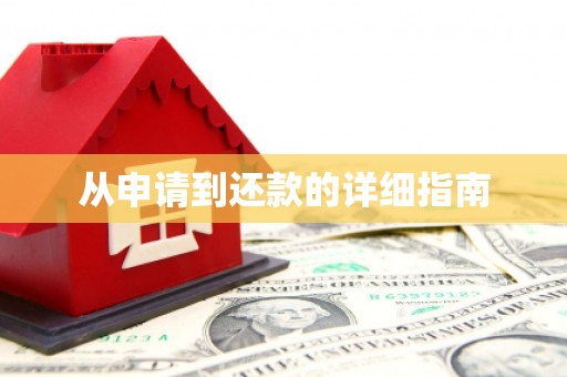 定结从申请到还款的详细指南