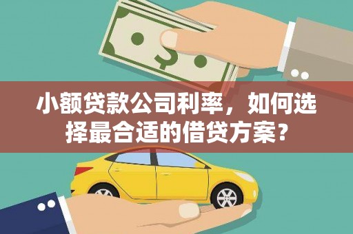 定结小额贷款公司利率，如何选择最合适的借贷方案？