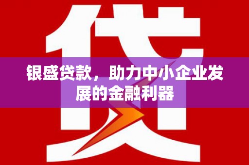 定结银盛贷款，助力中小企业发展的金融利器