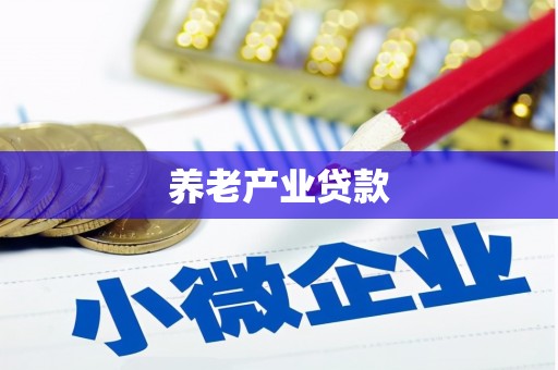 定结养老产业贷款