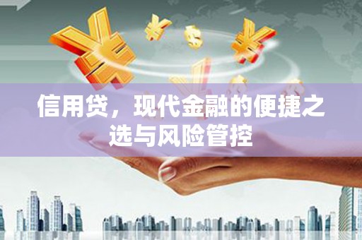 定结信用贷，现代金融的便捷之选与风险管控