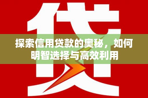 定结探索信用贷款的奥秘，如何明智选择与高效利用