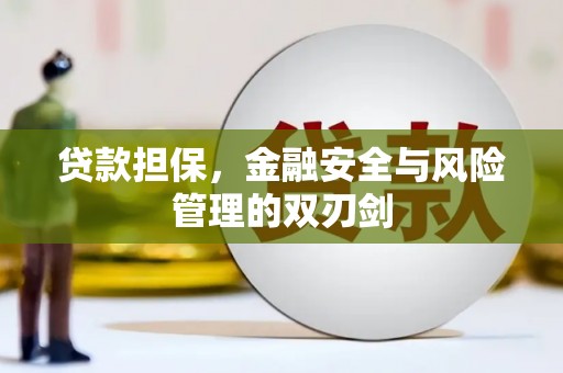 定结贷款担保，金融安全与风险管理的双刃剑