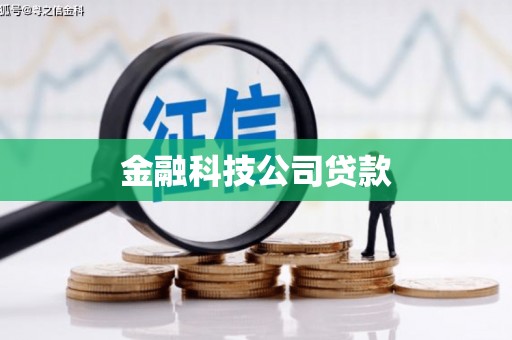 定结金融科技公司贷款