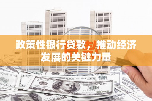 定结政策性银行贷款，推动经济发展的关键力量