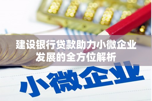 定结建设银行贷款助力小微企业发展的全方位解析