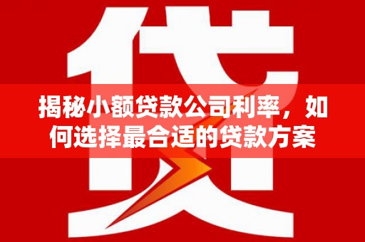 定结揭秘小额贷款公司利率，如何选择最合适的贷款方案