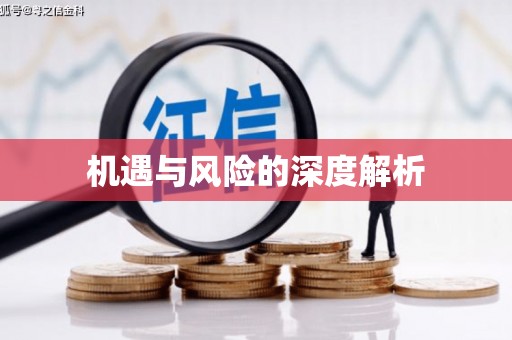 定结机遇与风险的深度解析