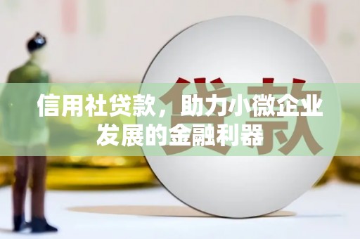 定结信用社贷款，助力小微企业发展的金融利器