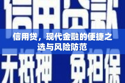 定结信用贷，现代金融的便捷之选与风险防范