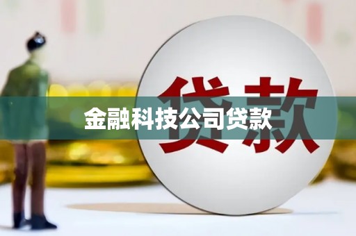 定结金融科技公司贷款