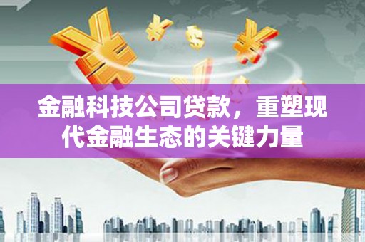 定结金融科技公司贷款，重塑现代金融生态的关键力量