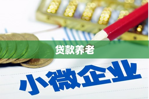 定结贷款养老
