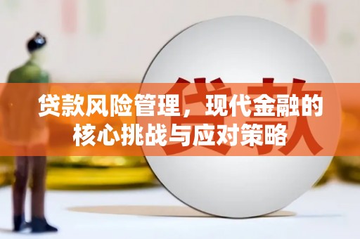 定结贷款风险管理，现代金融的核心挑战与应对策略