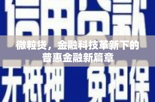 定结微粒贷，金融科技革新下的普惠金融新篇章