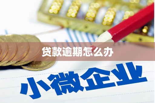 定结贷款逾期怎么办