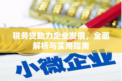定结税务贷助力企业发展，全面解析与实用指南