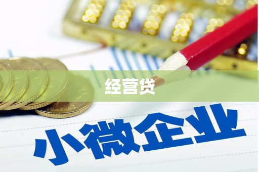 定结经营贷