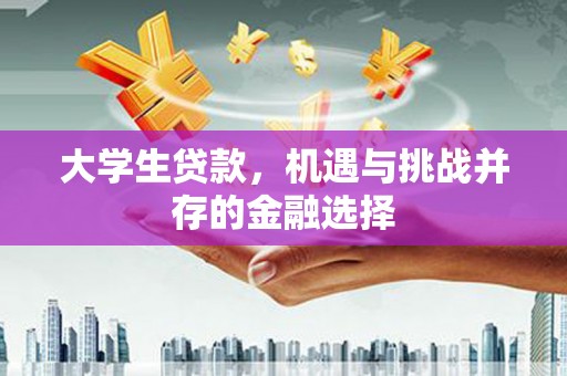 定结大学生贷款，机遇与挑战并存的金融选择