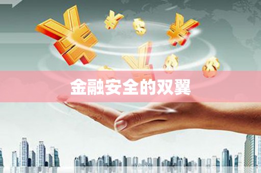 定结金融安全的双翼