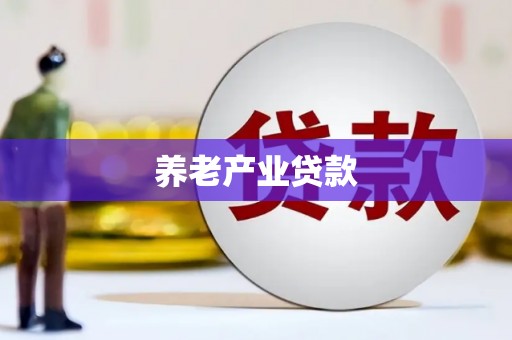 定结养老产业贷款