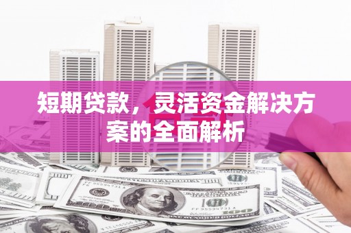 定结短期贷款，灵活资金解决方案的全面解析