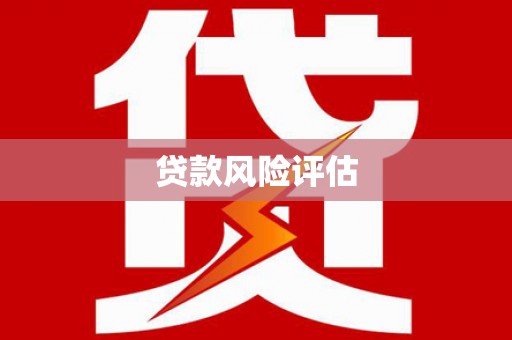 定结贷款风险评估