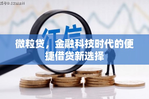 定结微粒贷，金融科技时代的便捷借贷新选择