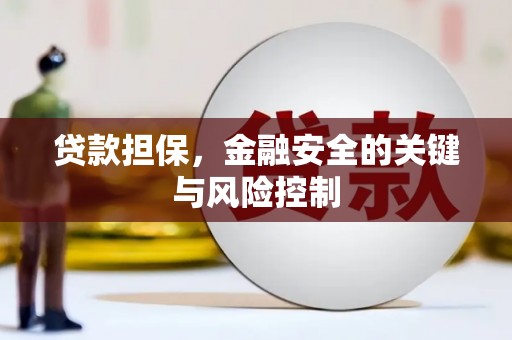 定结贷款担保，金融安全的关键与风险控制