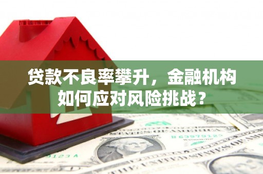 定结贷款不良率攀升，金融机构如何应对风险挑战？