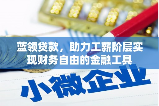 定结蓝领贷款，助力工薪阶层实现财务自由的金融工具