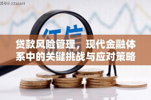 定结贷款风险管理，现代金融体系中的关键挑战与应对策略