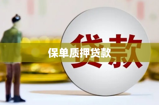 定结保单质押贷款