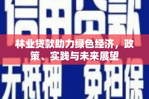 定结林业贷款助力绿色经济，政策、实践与未来展望