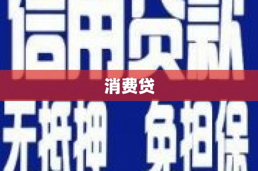定结消费贷
